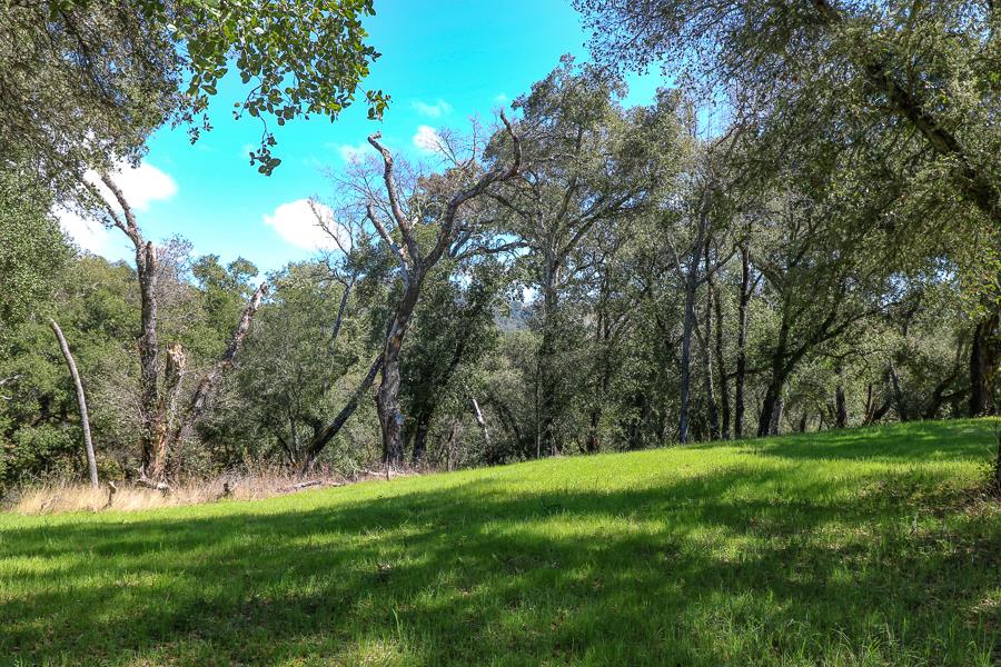 33 Arroyo Sequoia, CARMEL, California 93923, ,Lots And Land,For Sale,Arroyo Sequoia,40963613