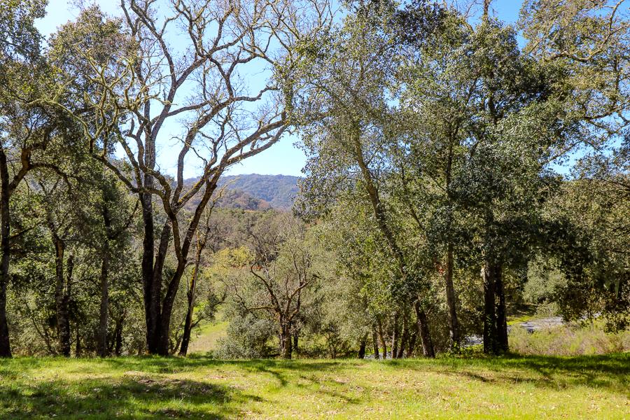 33 Arroyo Sequoia, CARMEL, California 93923, ,Lots And Land,For Sale,Arroyo Sequoia,40963613