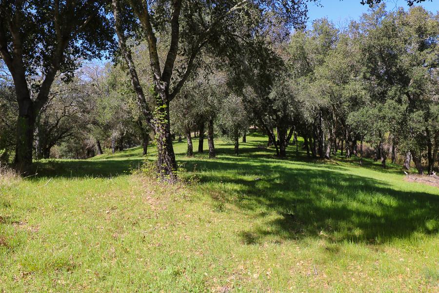 33 Arroyo Sequoia, CARMEL, California 93923, ,Lots And Land,For Sale,Arroyo Sequoia,40963613