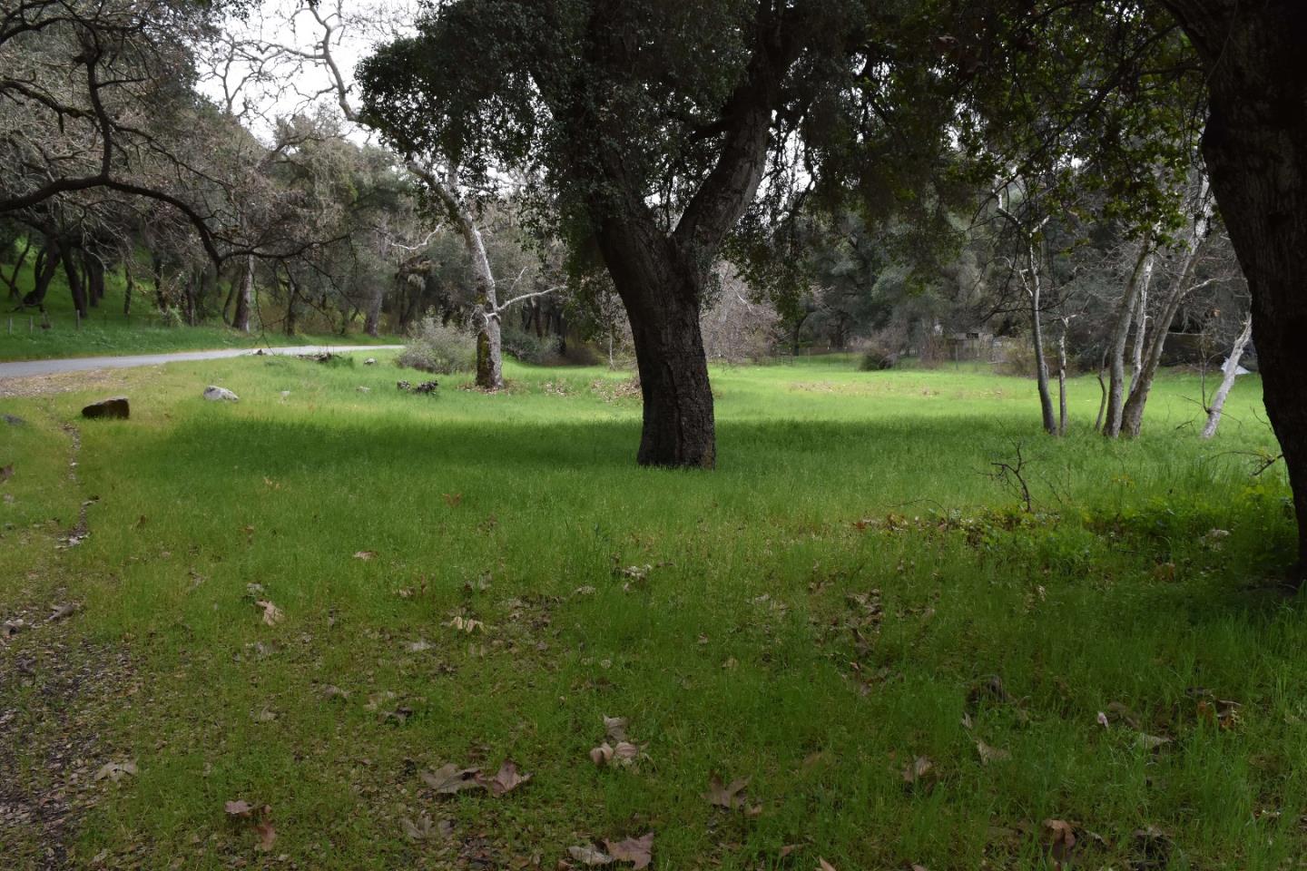 000 Corner of Nason and Cachagua Road, CARMEL VALLEY, California 93924, ,Comm Lots And Land,For Sale,Corner of Nason and Cachagua Road,40963714