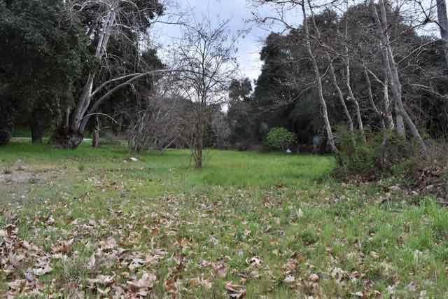 000 Corner of Nason and Cachagua Road, CARMEL VALLEY, California 93924, ,Comm Lots And Land,For Sale,Corner of Nason and Cachagua Road,40963714