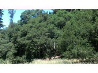 0 Rodeo Gulch, SOQUEL, California 95073, ,Lots And Land,For Sale,Rodeo Gulch,40963460