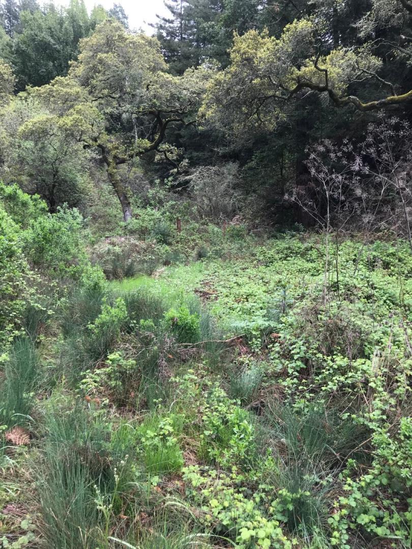 0 Rodeo Gulch, SOQUEL, California 95073, ,Lots And Land,For Sale,Rodeo Gulch,40963460