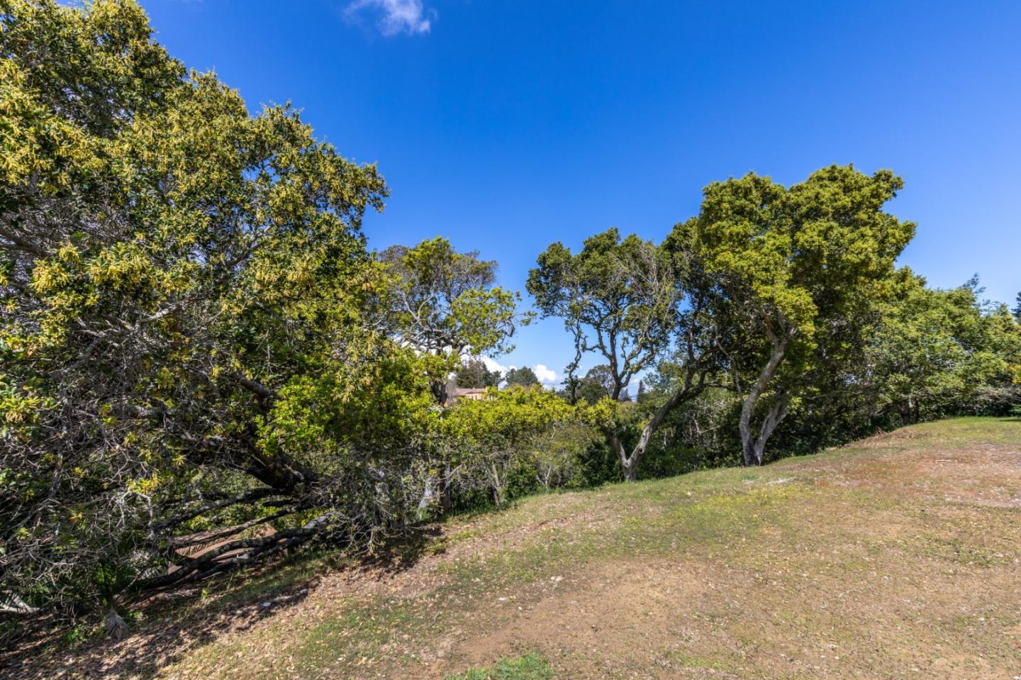 35 Victor Park Lane, HILLSBOROUGH, California 94010, ,Lots And Land,For Sale,Victor Park Lane,40963365