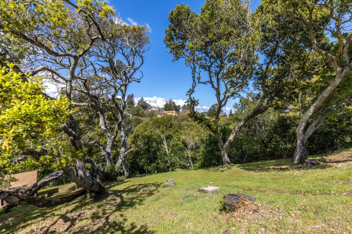 35 Victor Park Lane, HILLSBOROUGH, California 94010, ,Lots And Land,For Sale,Victor Park Lane,40963365
