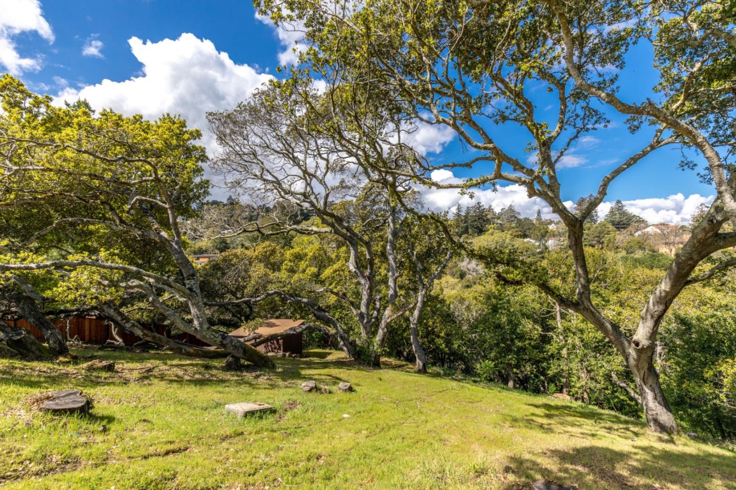 35 Victor Park Lane, HILLSBOROUGH, California 94010, ,Lots And Land,For Sale,Victor Park Lane,40963365