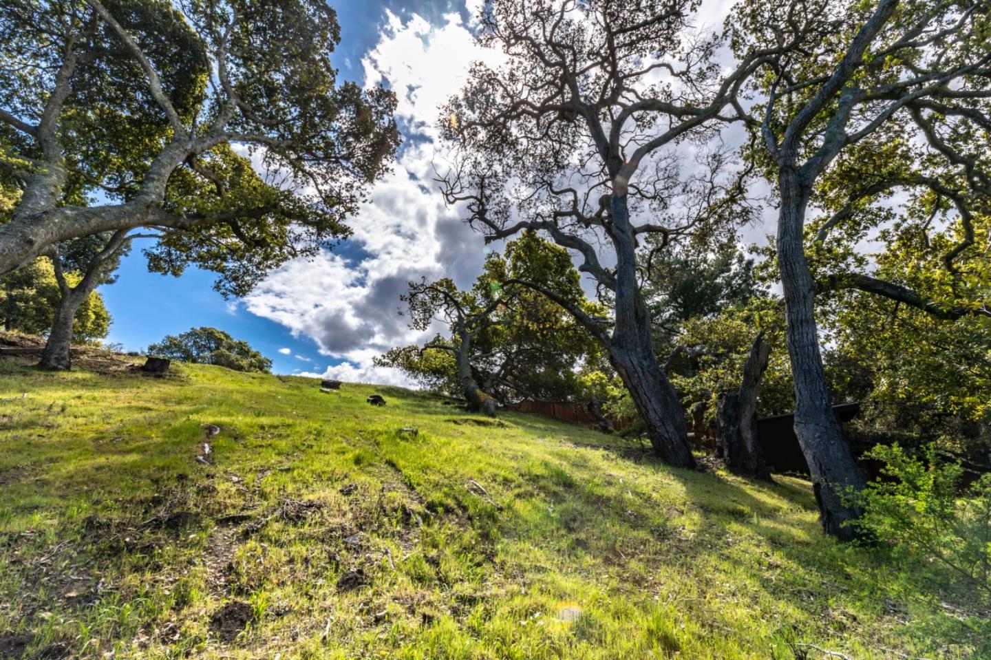 35 Victor Park Lane, HILLSBOROUGH, California 94010, ,Lots And Land,For Sale,Victor Park Lane,40963365