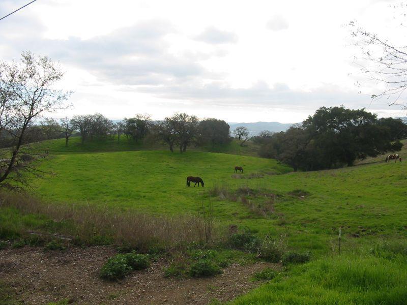 8655 Leavesley Road, GILROY, California 95020, ,Lots And Land,For Sale,Leavesley Road,40963426