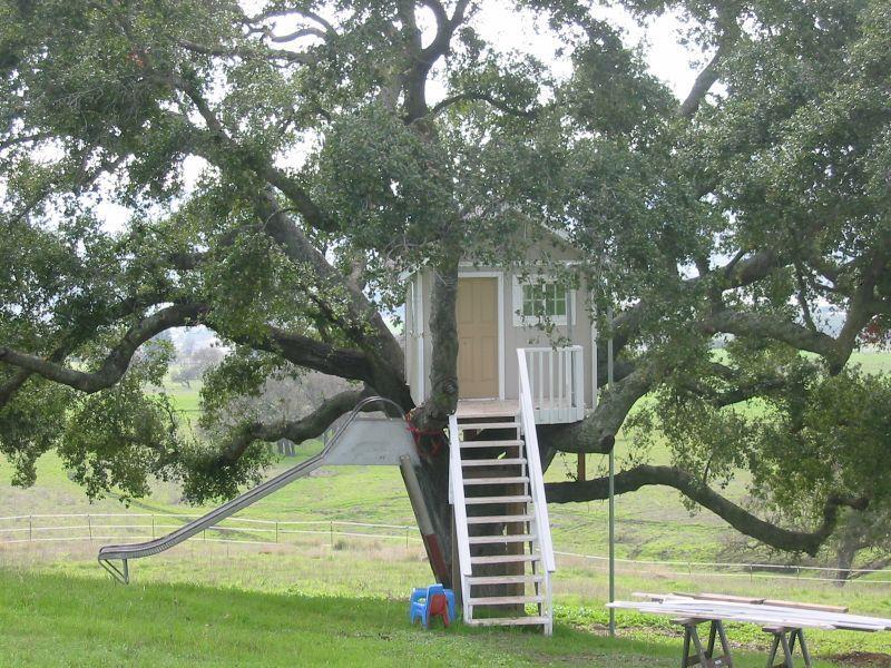 8655 Leavesley Road, GILROY, California 95020, ,Lots And Land,For Sale,Leavesley Road,40963426