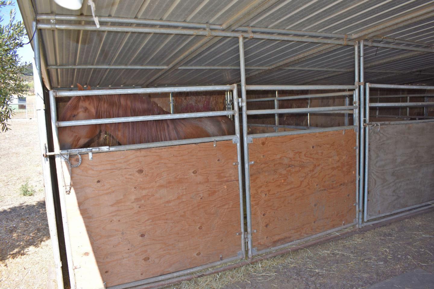 8655 Leavesley Road, GILROY, California 95020, ,Lots And Land,For Sale,Leavesley Road,40963426