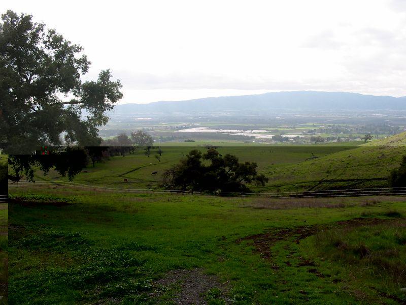 8655 Leavesley Road, GILROY, California 95020, ,Lots And Land,For Sale,Leavesley Road,40963426