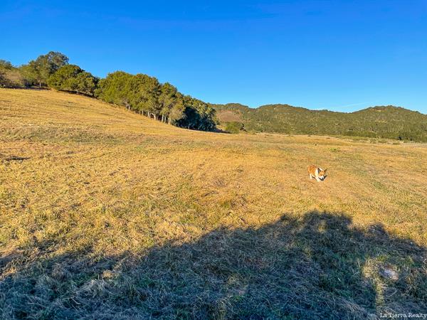 12 Mesa Trail, CARMEL, California 93923, ,Lots And Land,For Sale,Mesa Trail,40963820