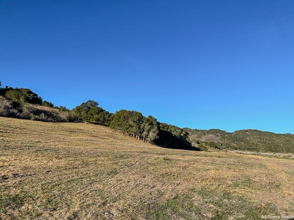 12 Mesa Trail, CARMEL, California 93923, ,Lots And Land,For Sale,Mesa Trail,40963820