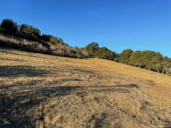 12 Mesa Trail, CARMEL, California 93923, ,Lots And Land,For Sale,Mesa Trail,40963820