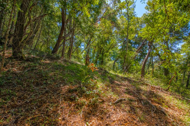 Lot 61 Quigg Way, BOULDER CREEK, California 95006, ,Lots And Land,For Sale,Quigg Way,40962050