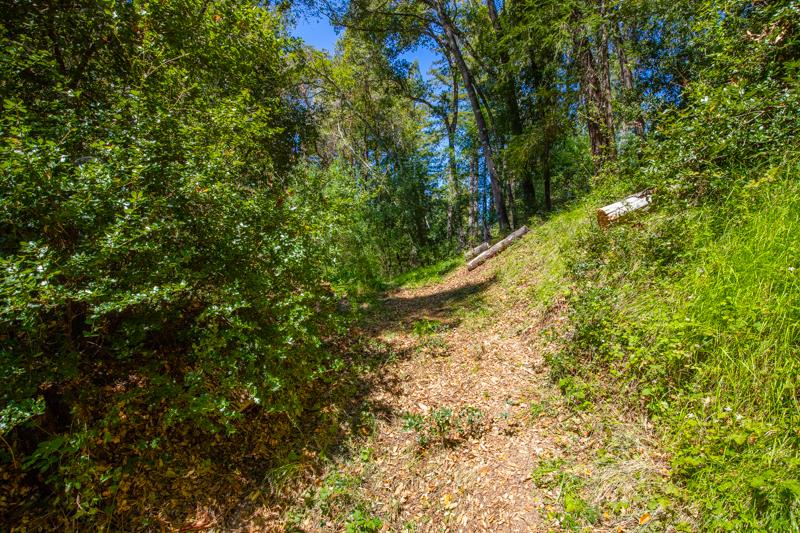 Lot 61 Quigg Way, BOULDER CREEK, California 95006, ,Lots And Land,For Sale,Quigg Way,40962050