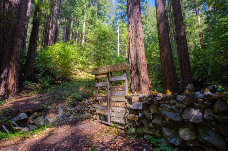 Lot 61 Quigg Way, BOULDER CREEK, California 95006, ,Lots And Land,For Sale,Quigg Way,40962050