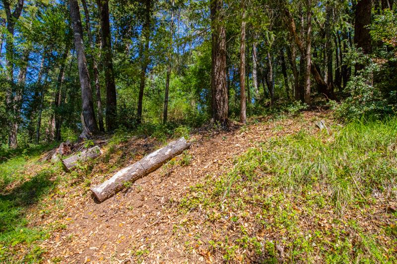 Lot 61 Quigg Way, BOULDER CREEK, California 95006, ,Lots And Land,For Sale,Quigg Way,40962050