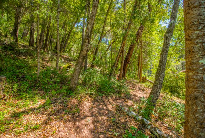 Lot 61 Quigg Way, BOULDER CREEK, California 95006, ,Lots And Land,For Sale,Quigg Way,40962050