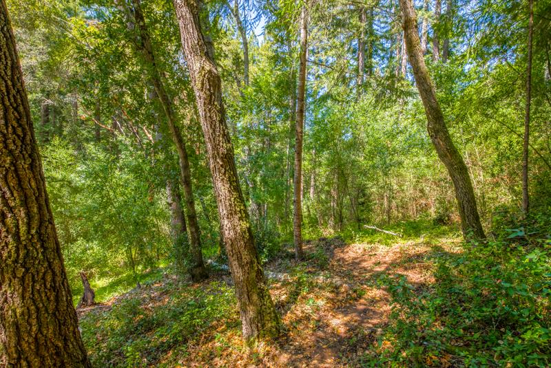 Lot 61 Quigg Way, BOULDER CREEK, California 95006, ,Lots And Land,For Sale,Quigg Way,40962050