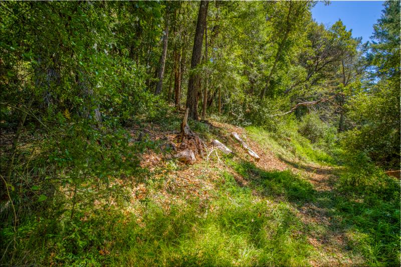 Lot 61 Quigg Way, BOULDER CREEK, California 95006, ,Lots And Land,For Sale,Quigg Way,40962050