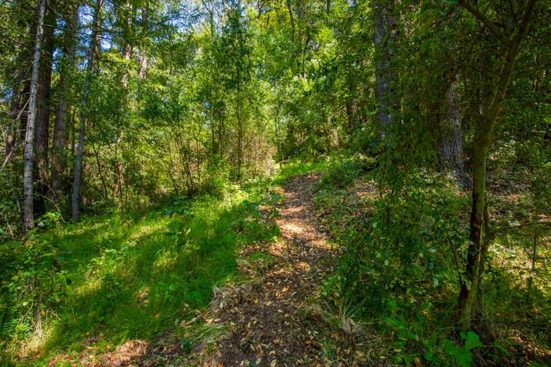 Lot 61 Quigg Way, BOULDER CREEK, California 95006, ,Lots And Land,For Sale,Quigg Way,40962050