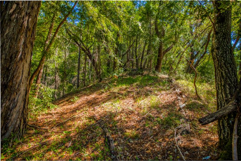 Lot 61 Quigg Way, BOULDER CREEK, California 95006, ,Lots And Land,For Sale,Quigg Way,40962050