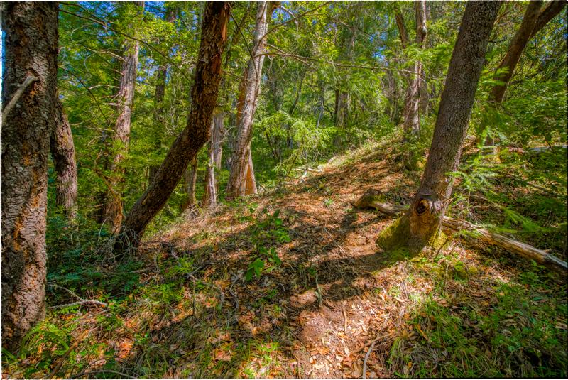 Lot 61 Quigg Way, BOULDER CREEK, California 95006, ,Lots And Land,For Sale,Quigg Way,40962050