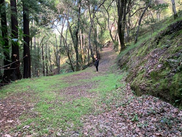 4400 Casa Loma Road, MORGAN HILL, California 95037, ,Lots And Land,For Sale,Casa Loma Road,40961897