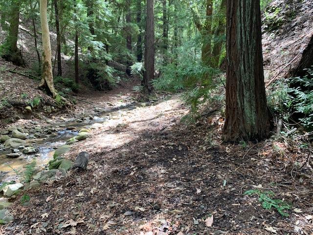 4400 Casa Loma Road, MORGAN HILL, California 95037, ,Lots And Land,For Sale,Casa Loma Road,40961897