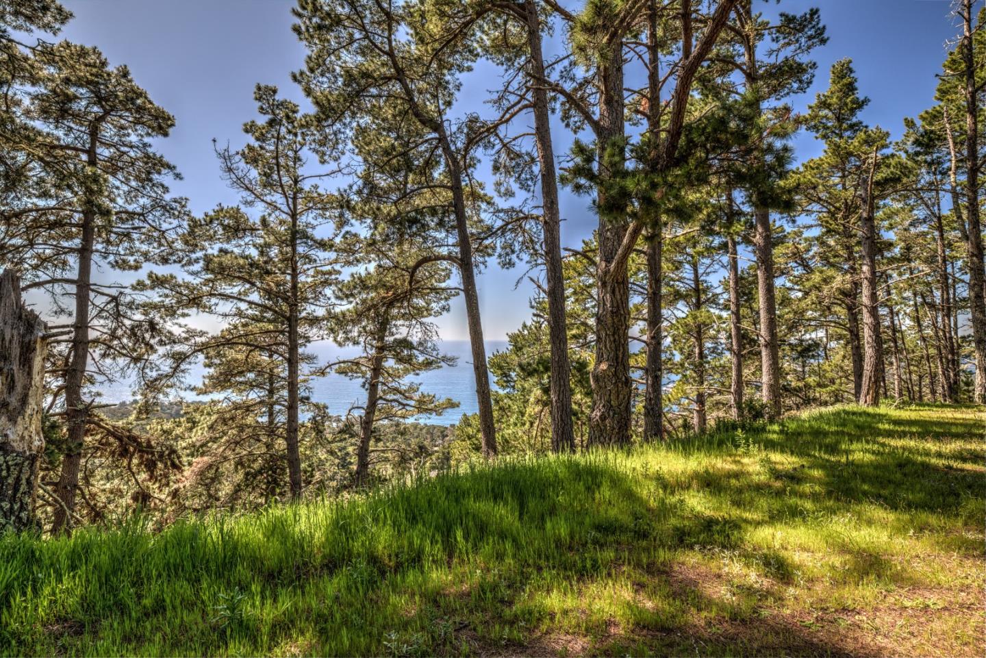 219 Peter Pan Road, CARMEL, California 93923, ,Lots And Land,For Sale,Peter Pan Road,40963869