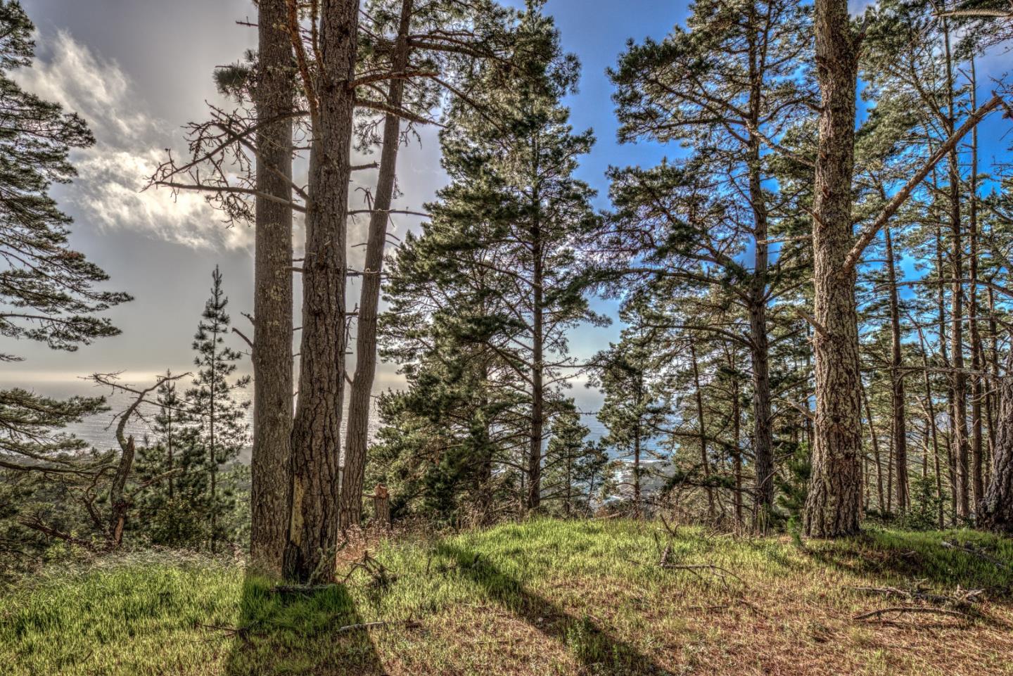 219 Peter Pan Road, CARMEL, California 93923, ,Lots And Land,For Sale,Peter Pan Road,40963869