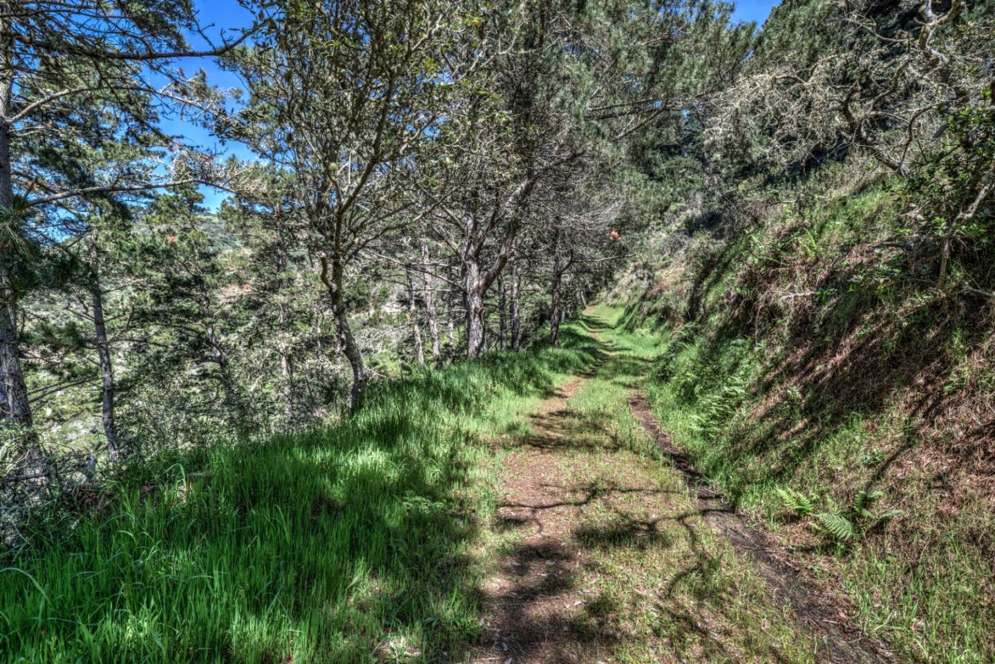 219 Peter Pan Road, CARMEL, California 93923, ,Lots And Land,For Sale,Peter Pan Road,40963869