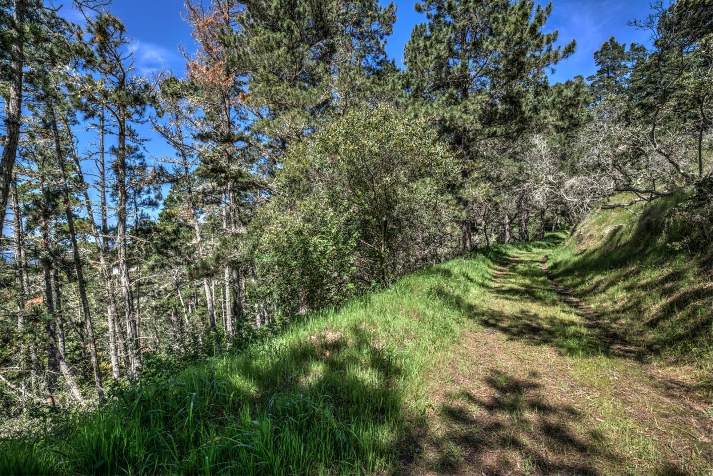 219 Peter Pan Road, CARMEL, California 93923, ,Lots And Land,For Sale,Peter Pan Road,40963869