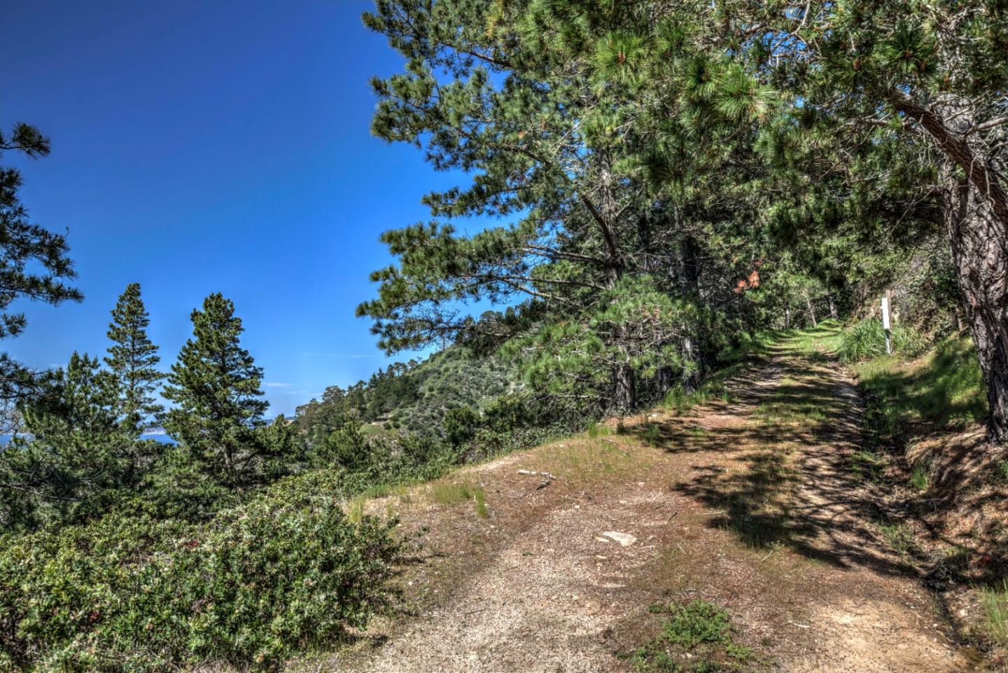 219 Peter Pan Road, CARMEL, California 93923, ,Lots And Land,For Sale,Peter Pan Road,40963869