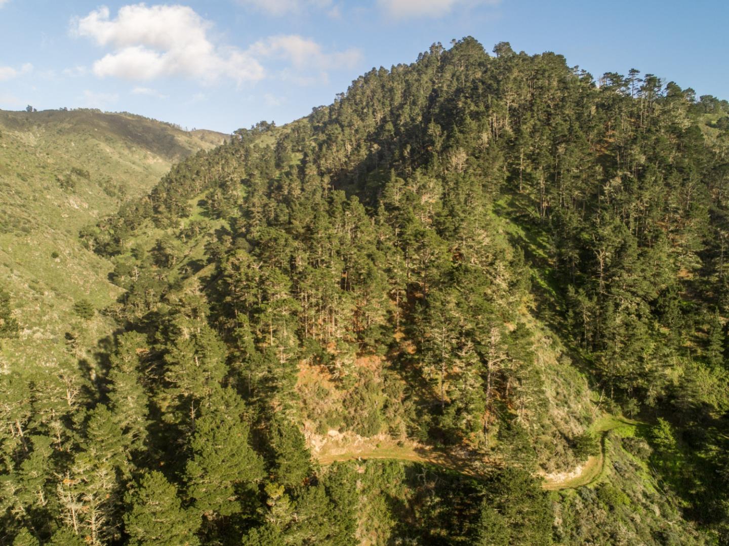219 Peter Pan Road, CARMEL, California 93923, ,Lots And Land,For Sale,Peter Pan Road,40963869