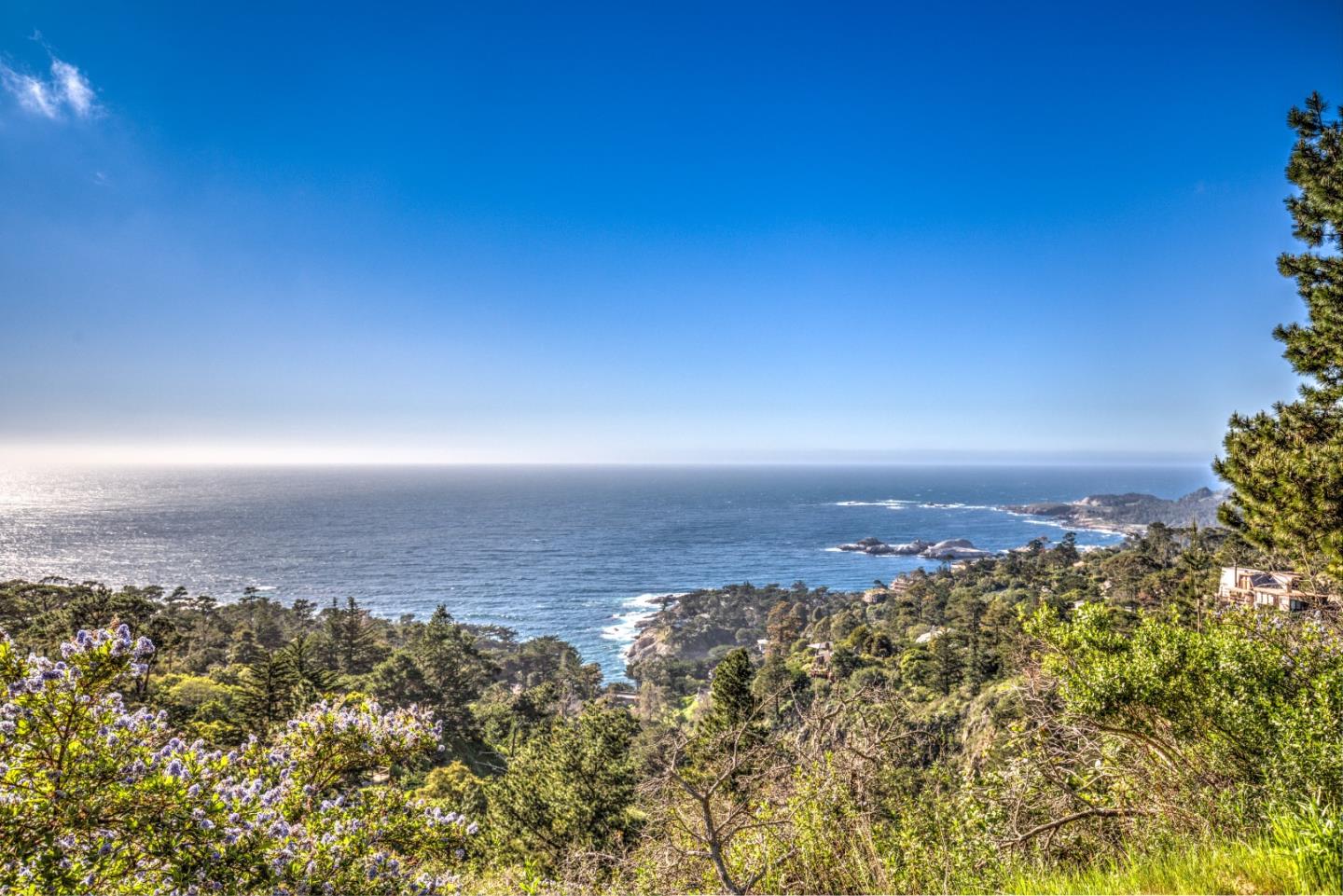 219 Peter Pan Road, CARMEL, California 93923, ,Lots And Land,For Sale,Peter Pan Road,40963869