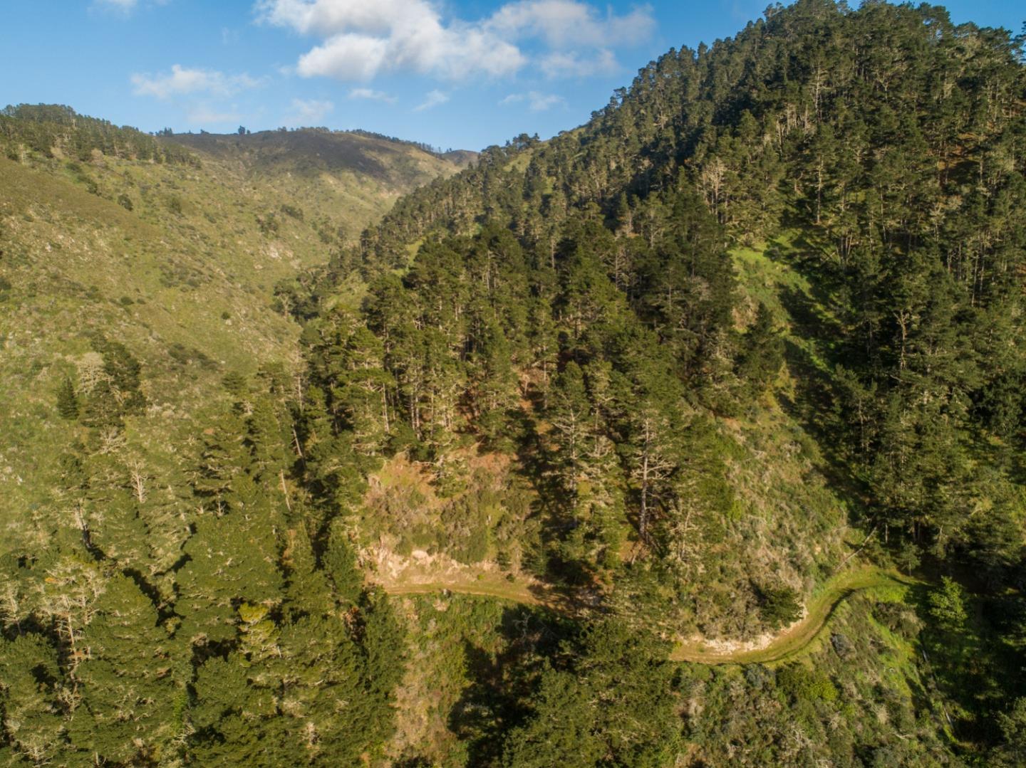 219 Peter Pan Road, CARMEL, California 93923, ,Lots And Land,For Sale,Peter Pan Road,40963869