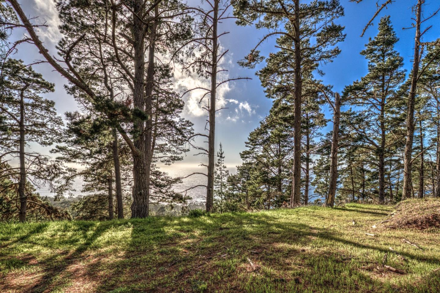 219 Peter Pan Road, CARMEL, California 93923, ,Lots And Land,For Sale,Peter Pan Road,40963869