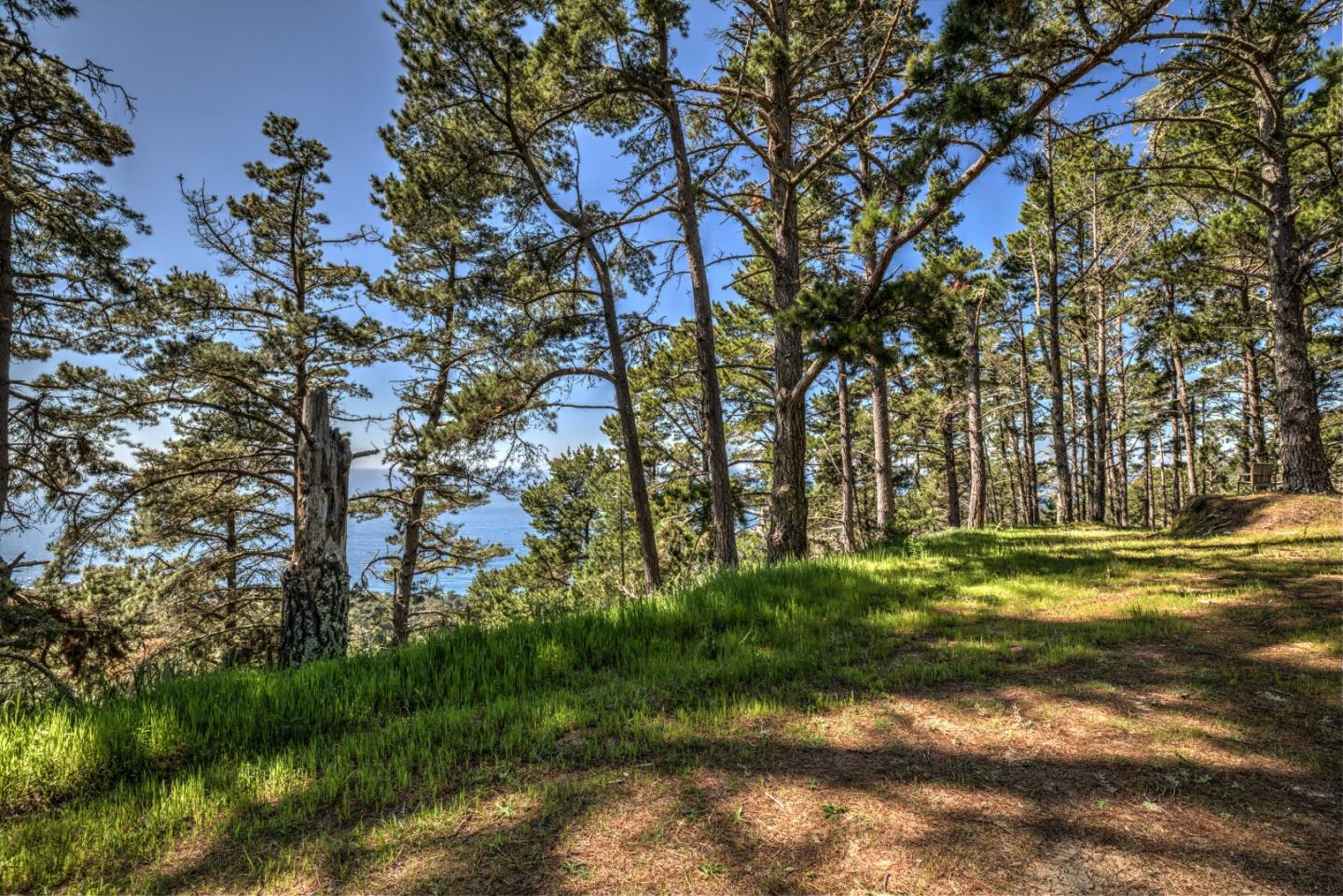 219 Peter Pan Road, CARMEL, California 93923, ,Lots And Land,For Sale,Peter Pan Road,40963869