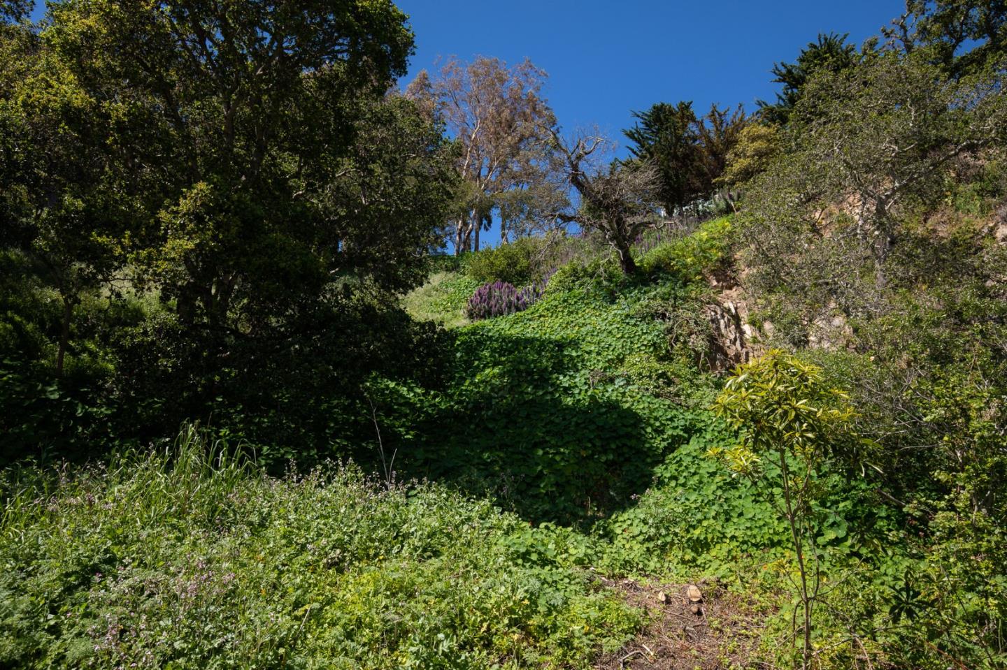 3528 Lazarro Drive, CARMEL, California 93923, ,Lots And Land,For Sale,Lazarro Drive,40964175