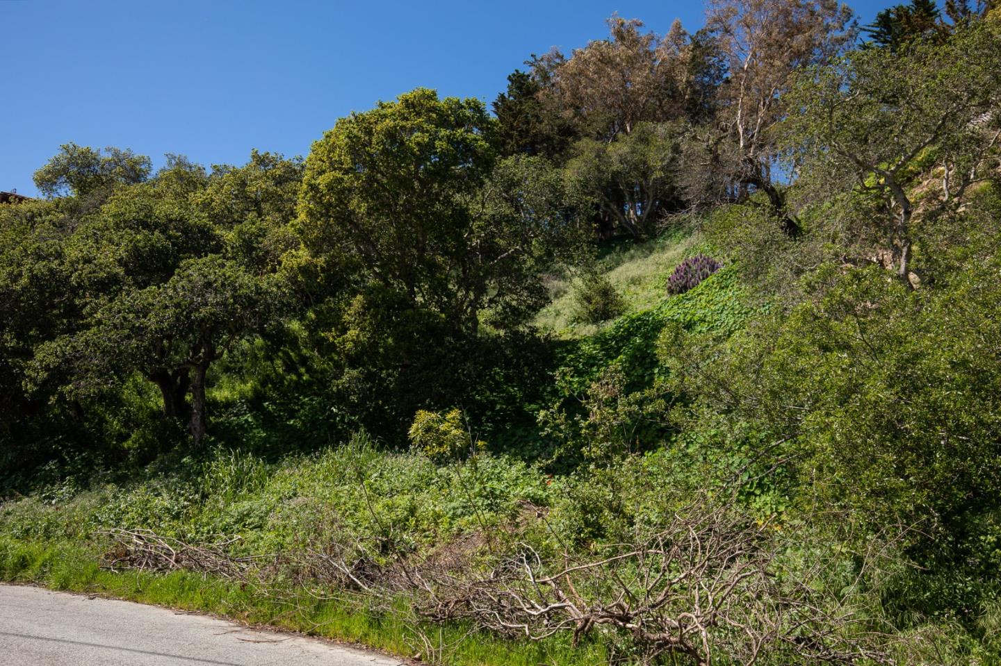3528 Lazarro Drive, CARMEL, California 93923, ,Lots And Land,For Sale,Lazarro Drive,40964175