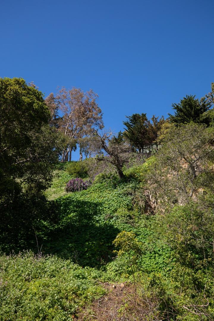 3528 Lazarro Drive, CARMEL, California 93923, ,Lots And Land,For Sale,Lazarro Drive,40964175