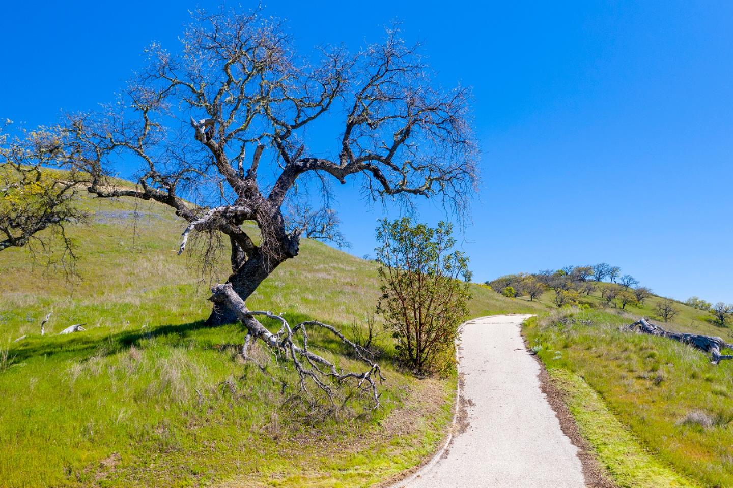 37 Pronghorn Run, CARMEL, California 93923, ,Lots And Land,For Sale,Pronghorn Run,40963879