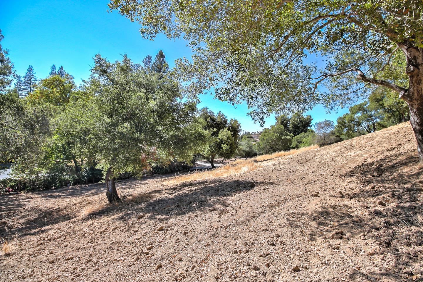 0 Cordwood, SARATOGA, California 95070, ,Lots And Land,For Sale,Cordwood,40967411