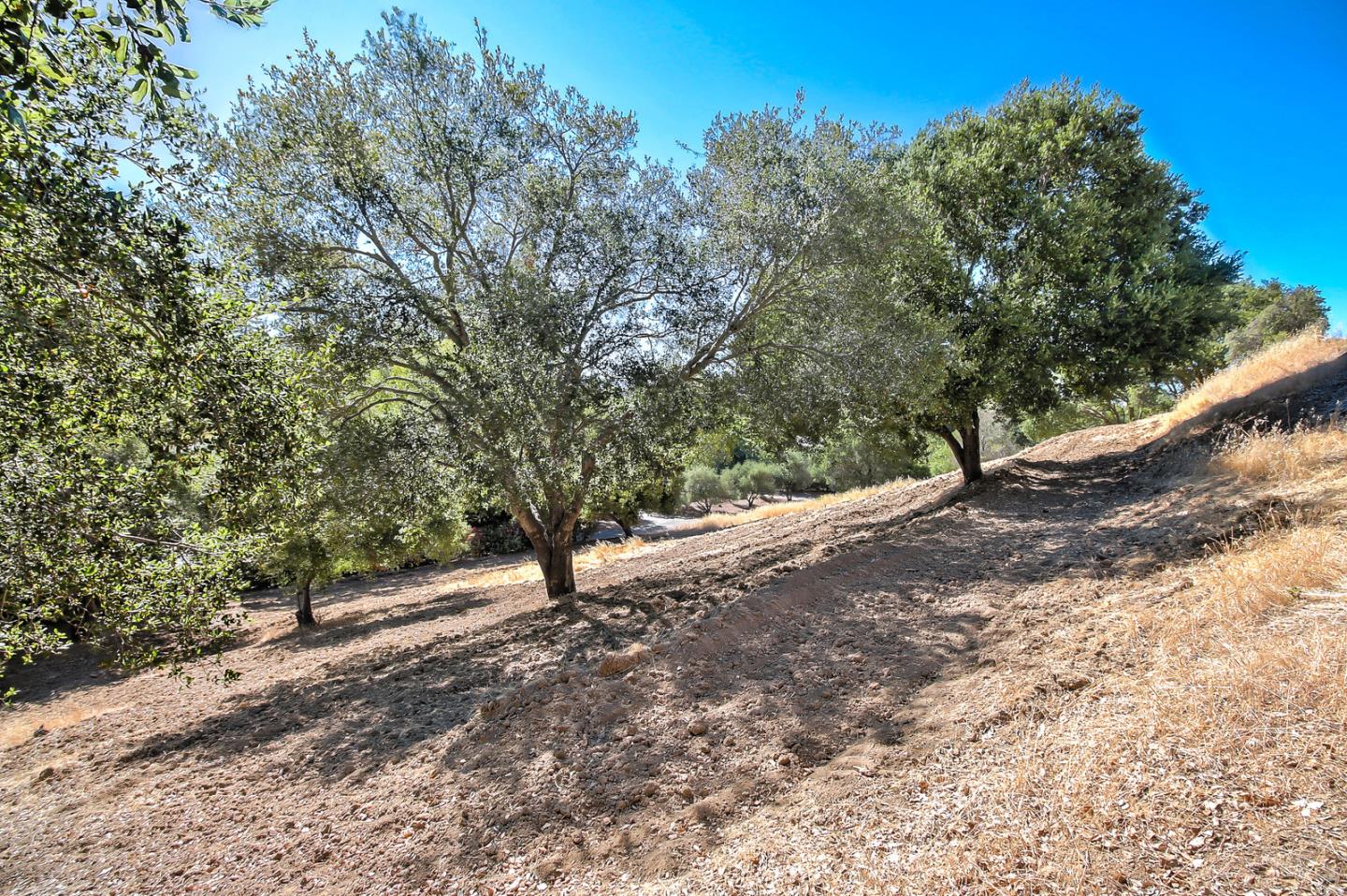 0 Cordwood, SARATOGA, California 95070, ,Lots And Land,For Sale,Cordwood,40967411