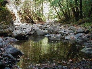 20930 Outer Zayante Road, LOS GATOS, California 95033, ,Lots And Land,For Sale,Outer Zayante Road,40963128