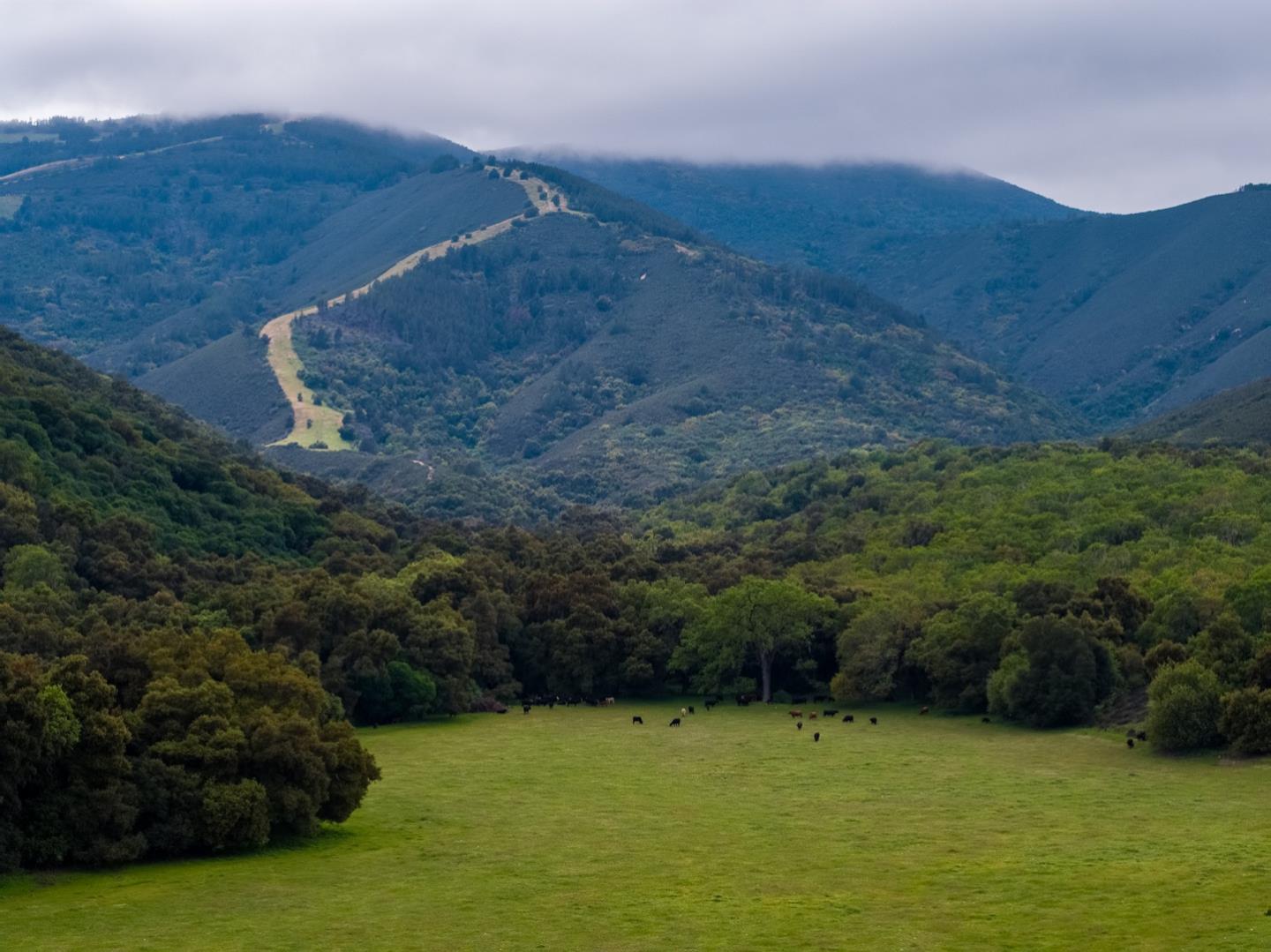 57310 Jolon RD, King City, CA 93930 Sotheby's International Realty, Inc.