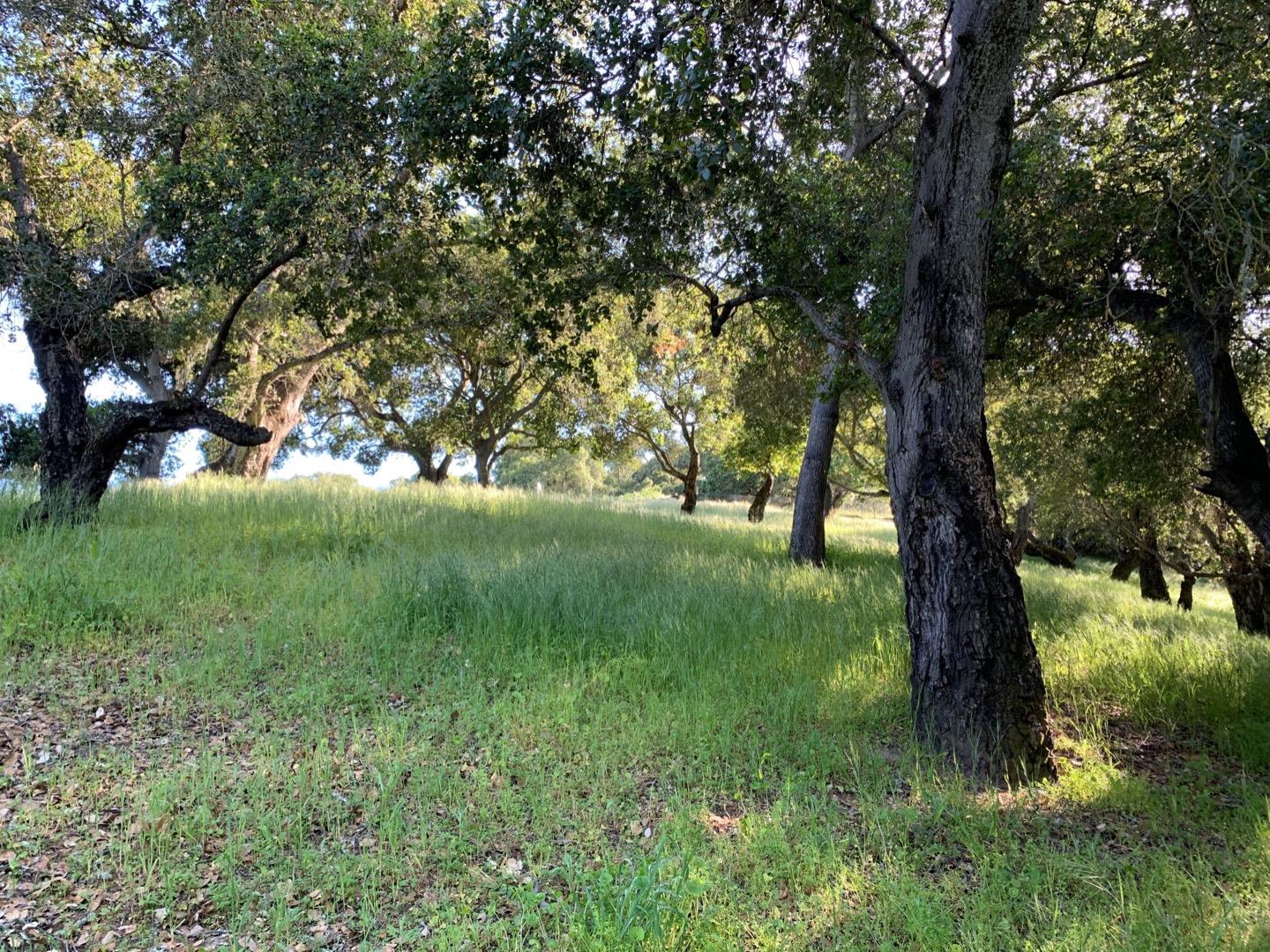 2204 Banyon Court, GILROY, California 95020, ,Lots And Land,For Sale,Banyon Court,40963481