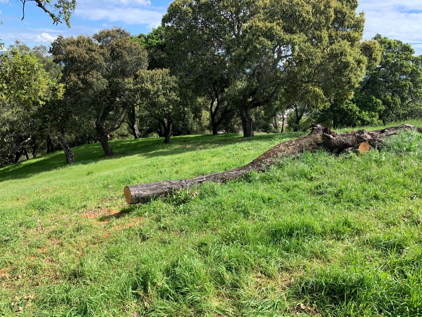 2204 Banyon Court, GILROY, California 95020, ,Lots And Land,For Sale,Banyon Court,40963481